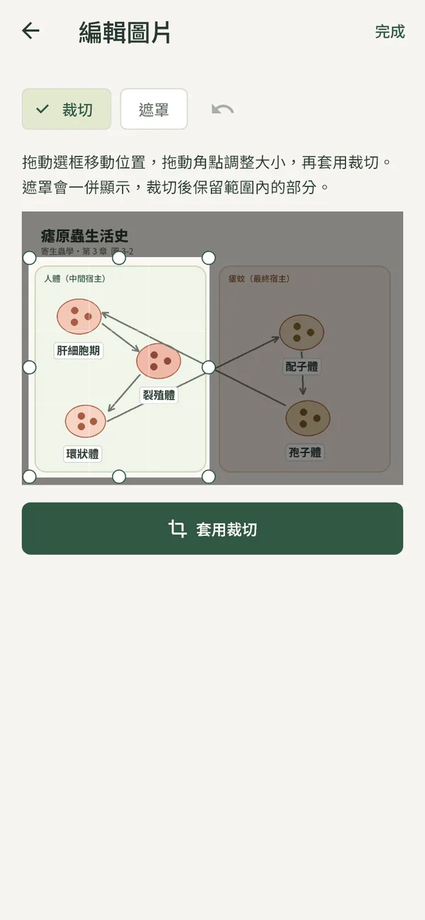 LessonNow 實際畫面：步驟 4、5