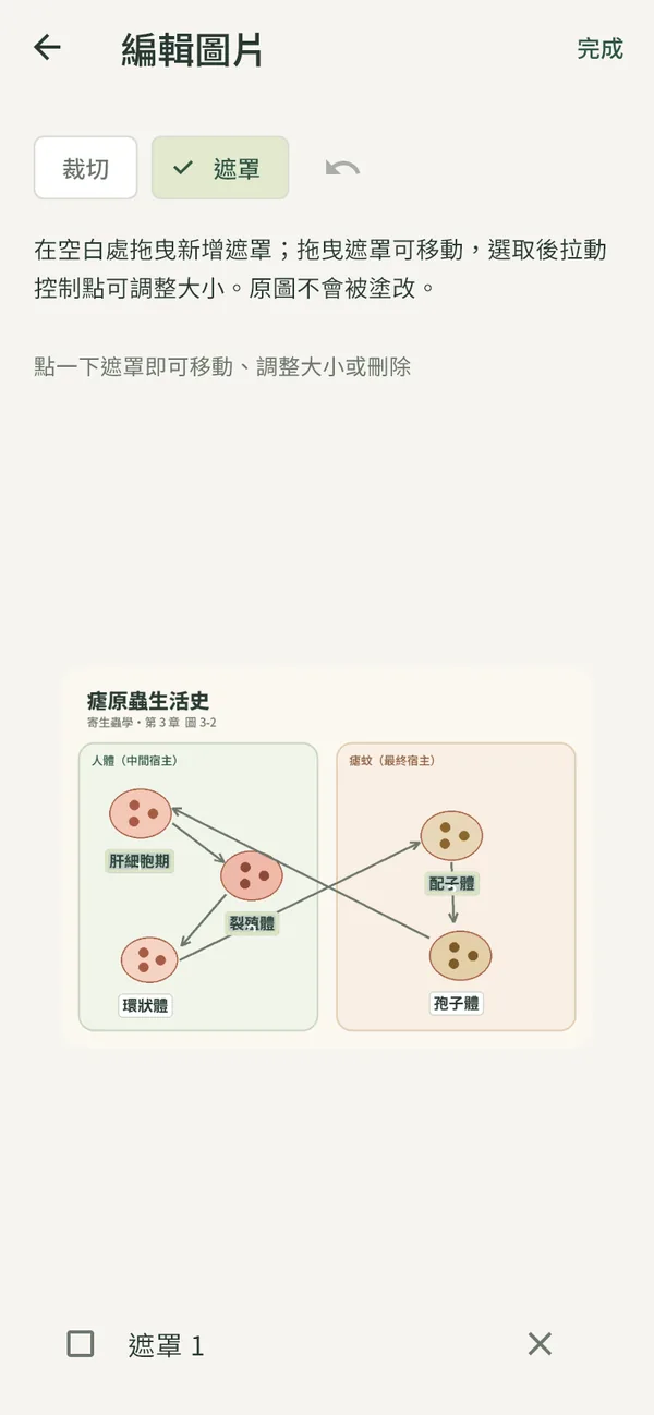 LessonNow 實際畫面：步驟 1、2、3