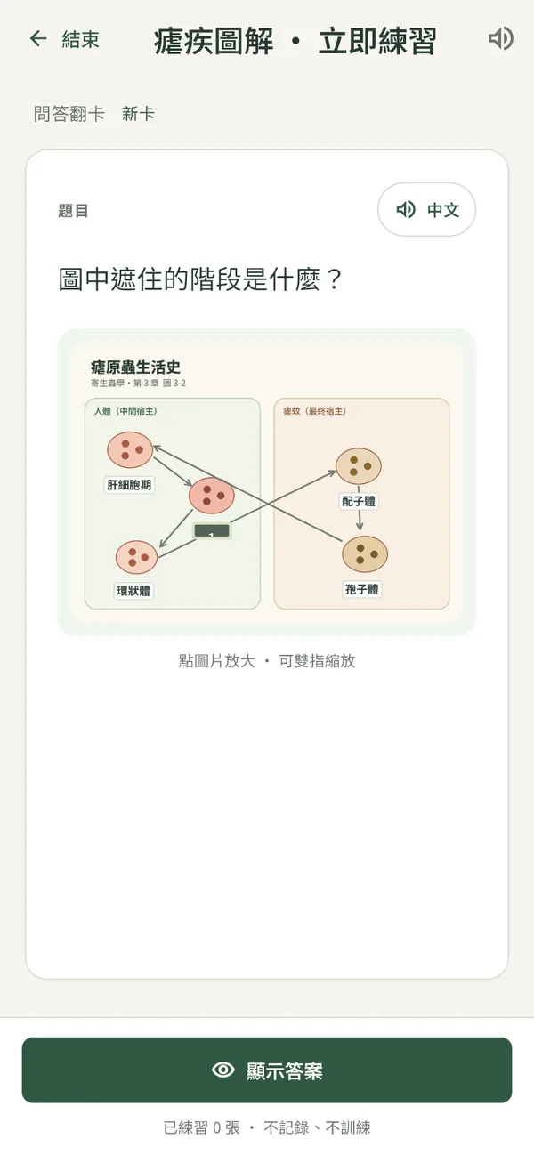 LessonNow 實際畫面：步驟 5